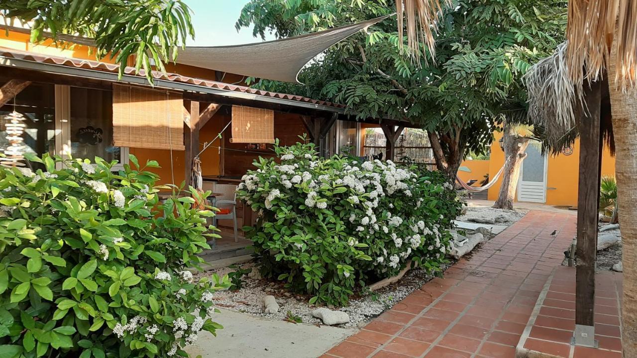B&B Casa Trankilo Playa Exterior foto